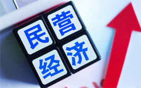 促進民營經濟發展壯大